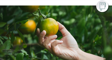 ¿Sabes cuál es la diferencia entre un producto orgánico y otro agroecológico? Aquí te contamos.
