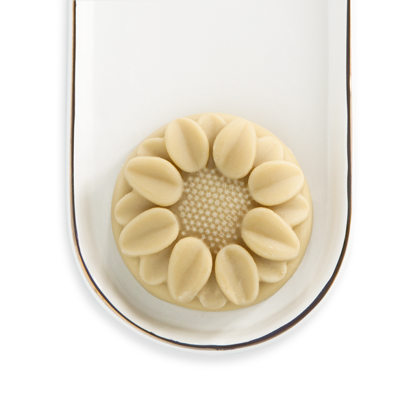 Barra hidratante (crema sólida)